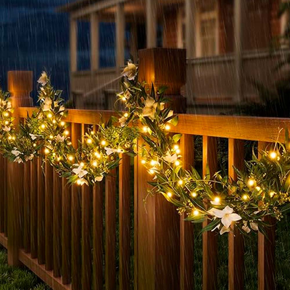 Imagen del producto 5